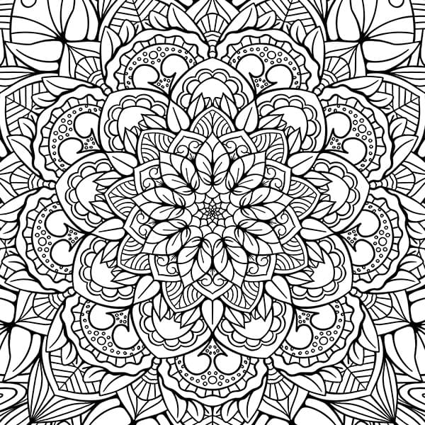 Tropical Plants and Flowers Mandala Coloring Page