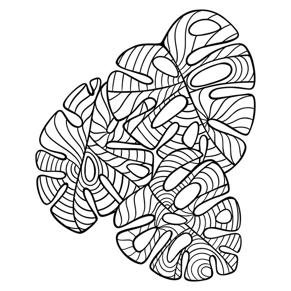 Zentangle Tropical Leaves Coloring Page - Trio of Intricate Designs Image