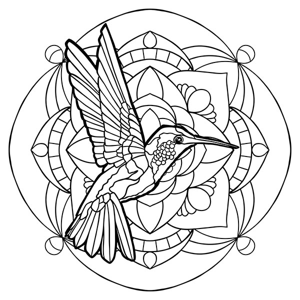 Graceful Hummingbird in Floral Mandala